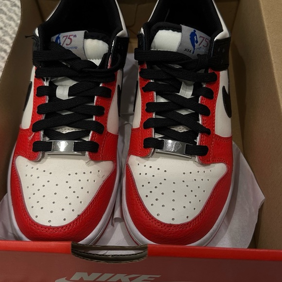 Nike Dunk Low EMB NBA 75th Anniversary Chicago (GS) - Picture 6 of 6